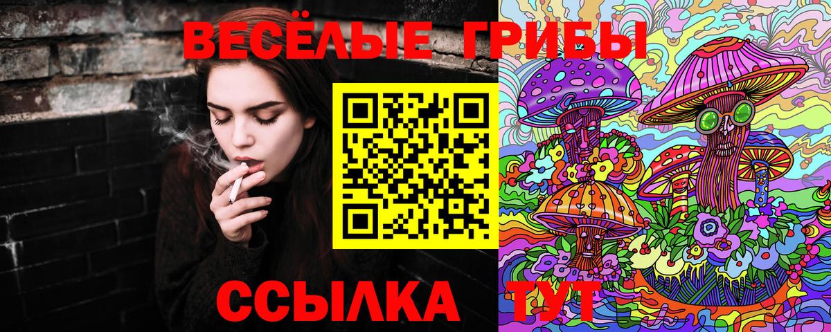 Амурск  Галлюциногенные грибы Cubensis  Вход с VPN  Галлюциногенные грибы MAGIC MUSHROOMS 